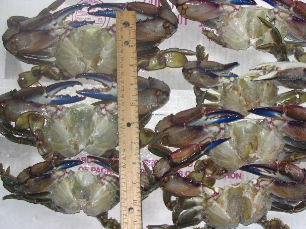 cleaned blue crab